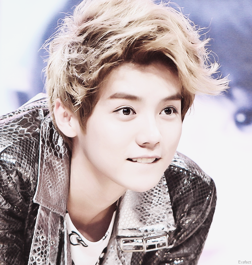 Résultats de recherche d'images pour « exo luhan »