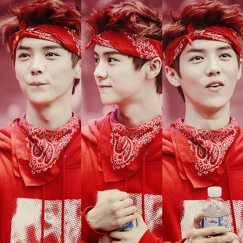 exo luhan