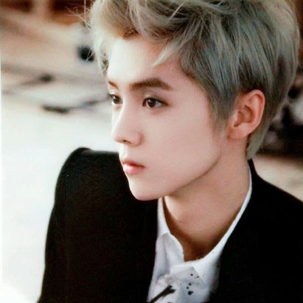 exo luhan